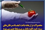 دسیسه 3 غول تولید‌کننده بذر برای انباشت دنیا با محصولات «تراریخته‌»